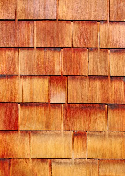 Cost of Wood Siding Replacement in Denton